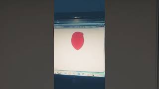 python turtle 🐢 Codeing rose flower like subscribe