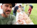 Three months worth of meat (backyard raised chicken) Learn with us