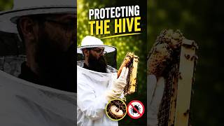 Protecting the Hive 🐝