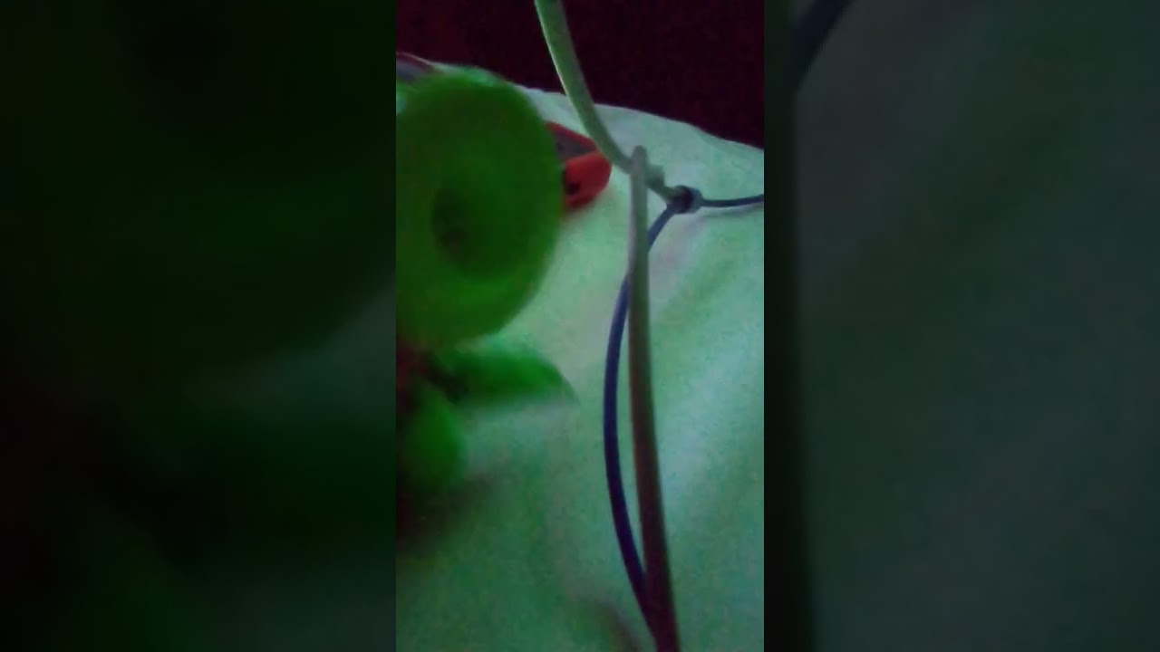 peashooter dancing YouTube