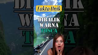 WOOW.. FAKTA UNIK DIBALIK WARNA TOSCA ! #fakta unik #fakta menarik #shortsvideo #shorts #short