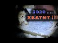 Приключения ... из 2020...