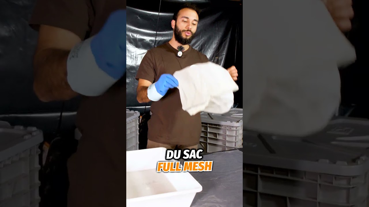 Faire du dry Hash chez soi à la glace carbonique 