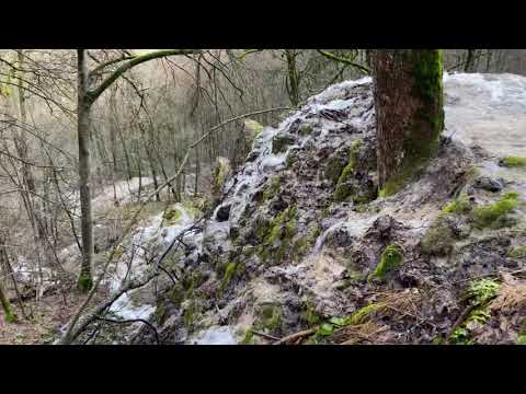 Die Gütersteiner Wasserfälle (04.02.2021)