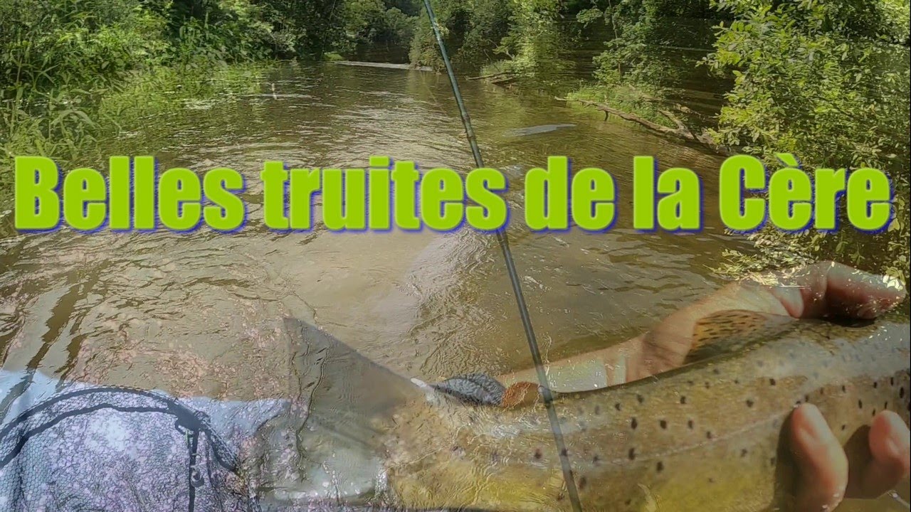 Les belles truites de la Cère - pêche à la mouche