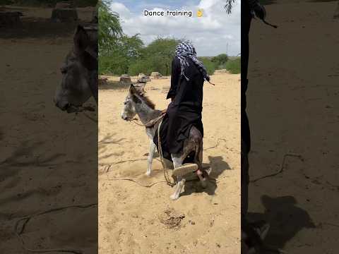 هل يمكن للحمار أن يرقص شاهد رجل ا يعل مه الرقص   