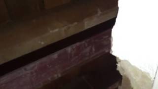 Column with padstone and middle reception beam.