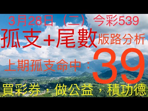 今彩539｜孤支+尾數｜牛哥539｜2023年3月28日（二）今彩539孤支尾數版路分析｜#539