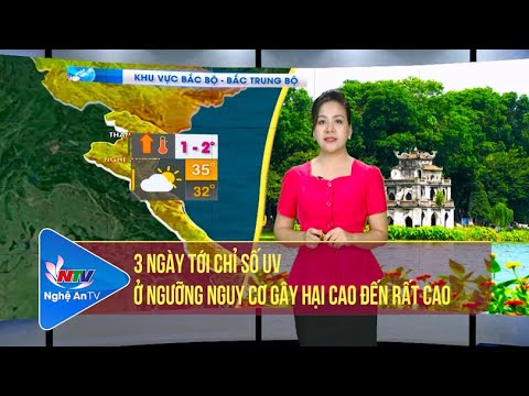 Video Bản tin Dự báo thời tiết đêm 16, ngày 17/8/2022 - youtube