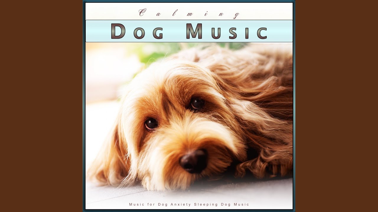 Relaxing Ocean Waves Music for Pets