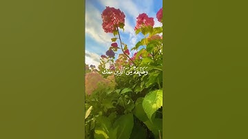 سورة المزمل الآية (20) القارئ شريف مصطفى #قرآن