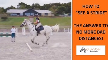 How to "Improve your Eye" to see a stride with Kirstin Kelly.