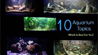 10 Aquarium Themes| Fish Tank Topics