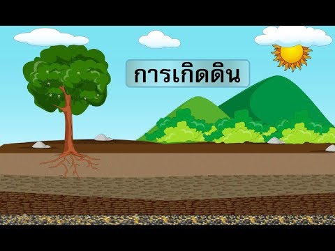 วีดีโอ: ปัจจัยการก่อตัวของดินคืออะไร? ปัจจัยการก่อตัวของดินคืออะไร?