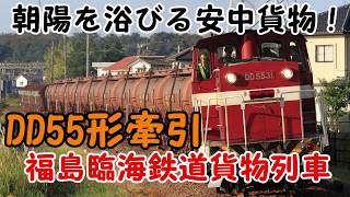 朝陽を浴びる安中貨物！DD55形牽引 福島臨海鉄道貨物列車