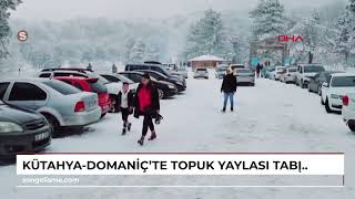 Kütahya-Domaniç’te Topuk Yaylası Tabiat Parkı, piknikçilerle doldu