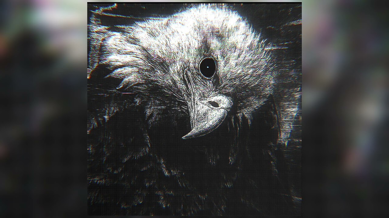 𝙕𝙚𝙧𝙮𝙩𝙝 - 𝘽𝙄𝘾𝙃𝙊 𝙁𝙊𝘿𝘼 𝙁𝙐𝙉𝙆 (𝙎𝙡𝙤𝙬𝙚𝙙)