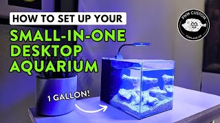 How To Set Up Your Small-In-One Desktop Aquarium