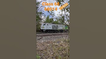 From within the green bushes comes a big green monster train class ￼68 chiltern railways #class68