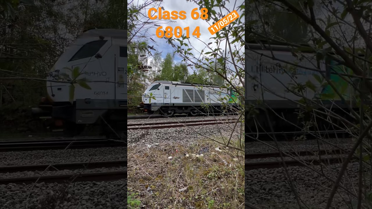 From within the green bushes comes a big green monster train class ￼68 chiltern railways 