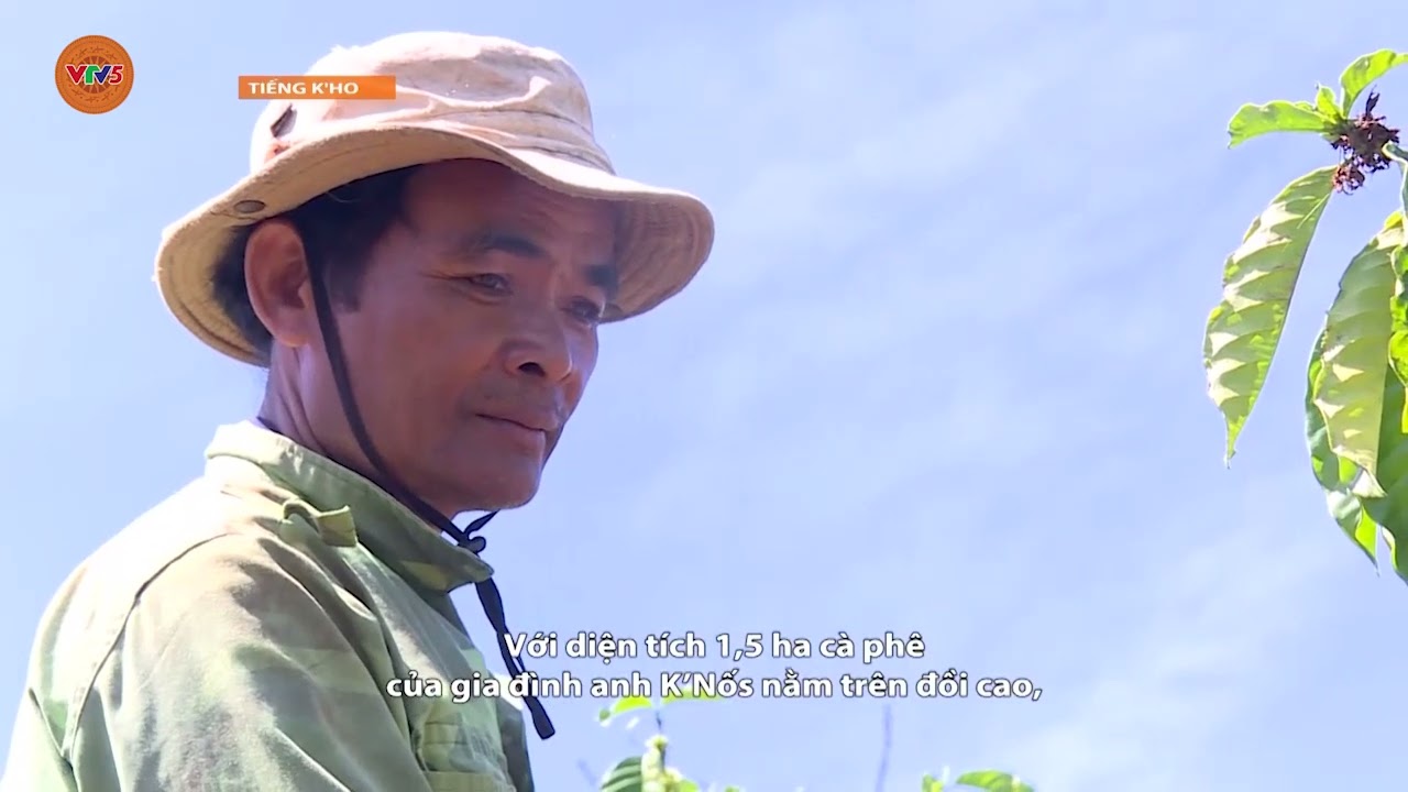 [TIẾNG CƠ HO] NÔNG DÂN GIA HIỆP CHỦ ĐỘNG NGUỒN NƯỚC TƯỚI CHO CÂY TRỒNG TRONG MÙA KHÔ | VTV5