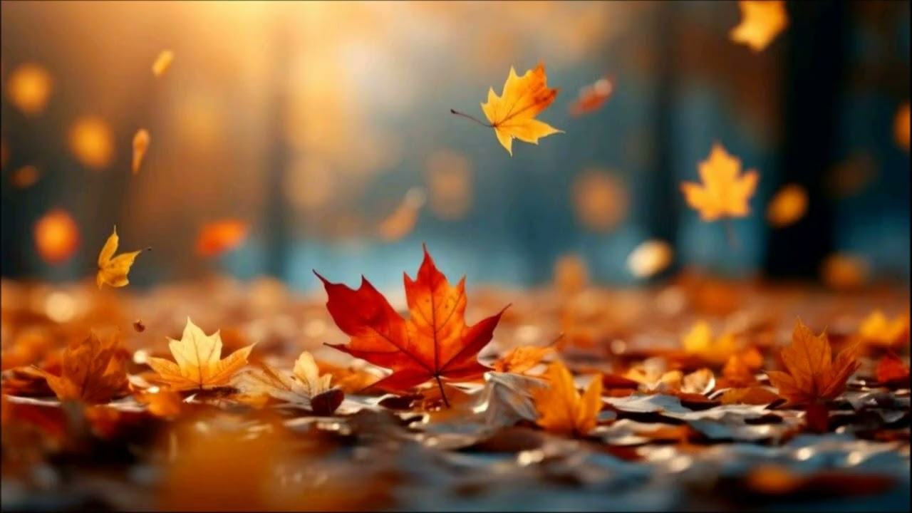 "Листопад". Музика Василя Дутчака, слова Оксани Білик