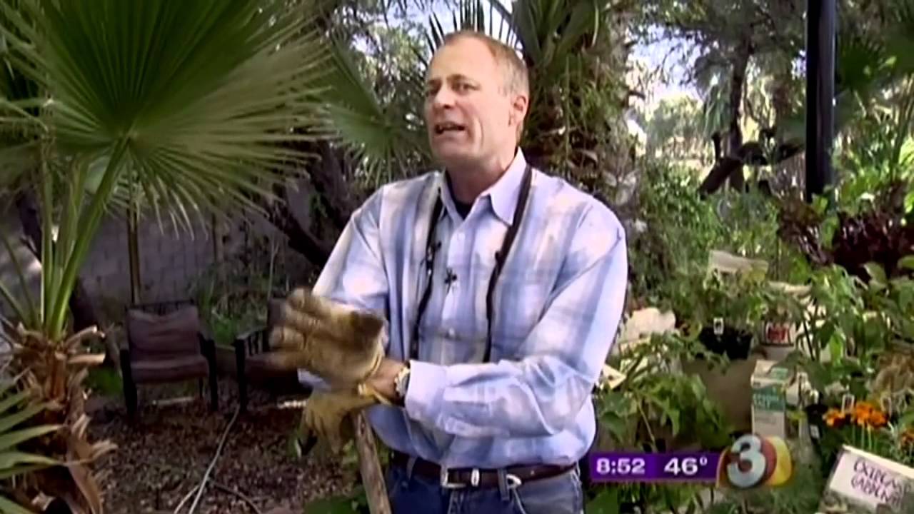 Dave The Garden Guy Fasci Garden