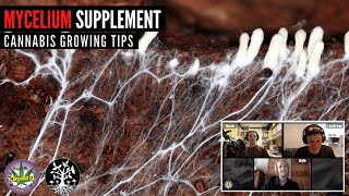 Mycelium for Cannabis! - EP137