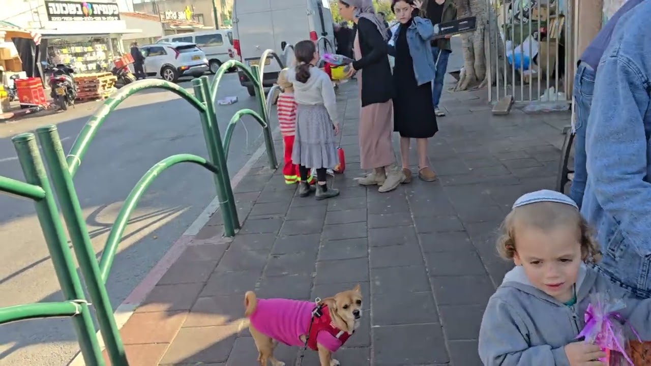 У  ДОЧКА УПАЛА  БОМБА  А Я. СПАЛА