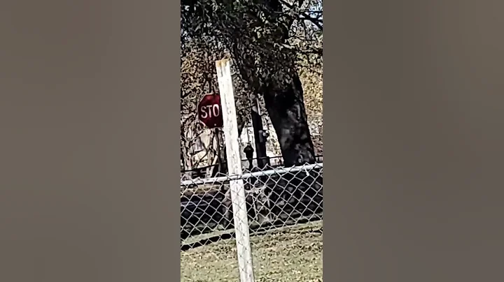 taking a walk