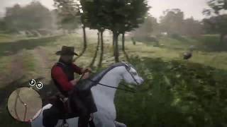 Red Dead Redemption 2 The hit and wasted
