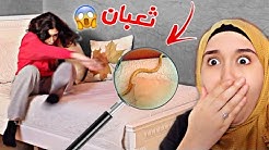 ثعبان في سرير أختي امال 😱 شو صار ؟