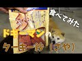 #6【実食】ドギーマンの「ターキー紗（さや）」を食べてみた【柴犬】 I tried Doggyman's "Turkey Saya"