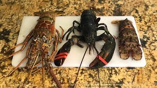 LOBSTER TASTE TEST! How to Cook Lobster! Which one is the best?!?!?!?