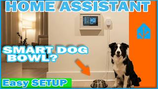 I Used a Leak Sensor to Monitor My Dog’s Water Bowl (Home Assistant Automation)