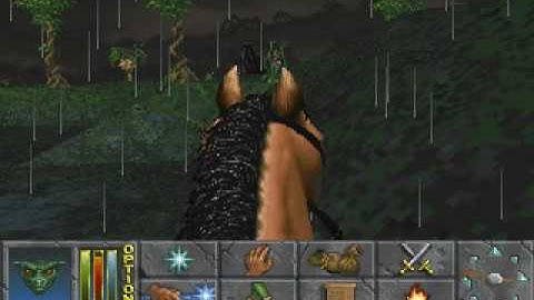 Daggerfall Border Glitch