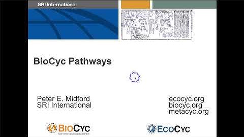 Browsing and Searching Pathways in BioCyc