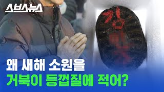 2020년 새해 맞이 소원을 왜 거북이 등껍질에 페인트로 적어?/스브스뉴스 screenshot 5