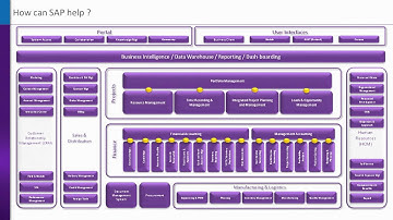 CIBER and SAP in the Service Sector. Part II.