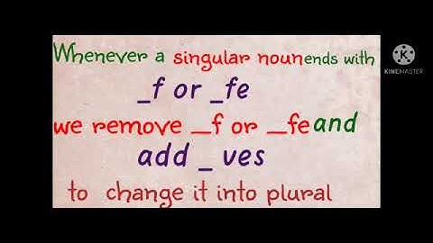 MLZS JHANSI CLASS 2 English Grammar Chapter 2 Singular and Plural Nouns Lecture 2