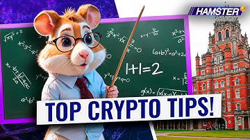 3 Must-Know Crypto Rules for New Investors 💡🚀 Hamster Academy