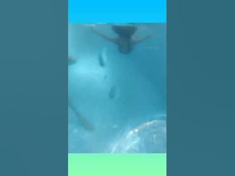 underwater swimming.. first time.. - YouTube