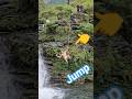 Geat jump - A beautiful waterfall amidst wild nature #travel #waterfall
