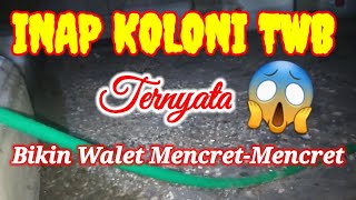 Inap koloni twb sangat joss