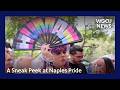 A Sneak Peek at Naples Pride