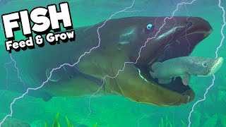 Feed and Grow Fish Gameplay German - MEGA ELECTRIC EEL