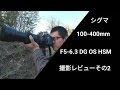 撮影レビューその2　シグマ　100-400mm 　F5-6.3 DG OS HSM　Contemporary