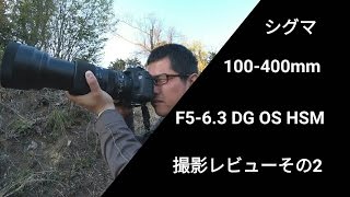 撮影レビューその2　シグマ　100-400mm 　F5-6.3 DG OS HSM　Contemporary