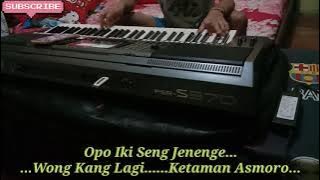 Download lagu KETAMAN ASMORO...Karaoke & Lirik Cover Style Tanpa Kendang...dijamin makglerrrrr...