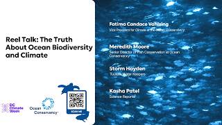 Reel Talk: The Truth About Ocean Biodiversity and Climate